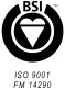 bsi logo for RTk