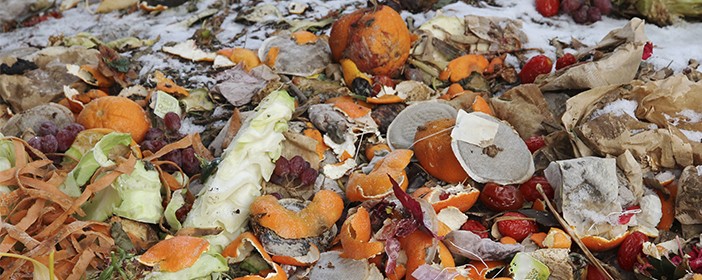 Biogas, Landfill and Digester Gas Biogas, Landfill and Digester Gas